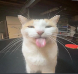 unknown.png