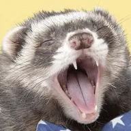 LapaPaw