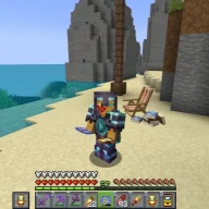 cibgor